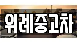 위례중고차
