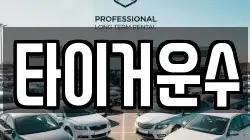 타이거운수