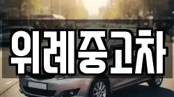 위례중고차
