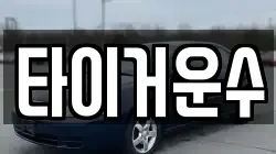 타이거운수