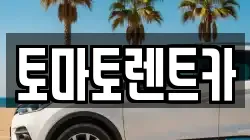 토마토렌트카