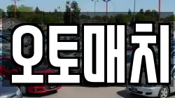 오토매치