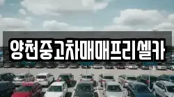 양천중고차매매프리셀카