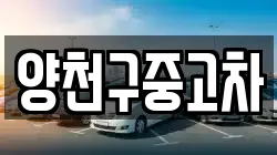 양천구중고차