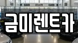 금미렌트카