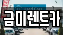 금미렌트카