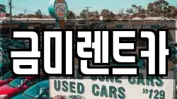 금미렌트카