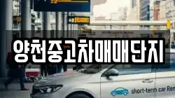 양천중고차매매단지