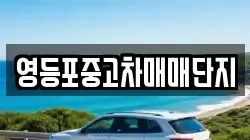 영등포중고차매매단지