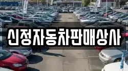 신정자동차판매상사