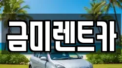 금미렌트카