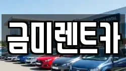 금미렌트카