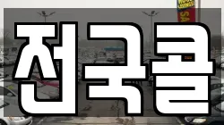 전국콜