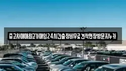 중고차매매최고가매입24시간출장비무료견적현장방문지누카