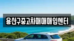 용산구중고차매매매입센터