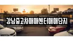 강남중고차매매센터매매단지