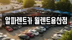 알파렌트카 월렌트용산점