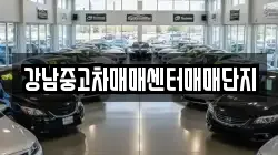 강남중고차매매센터매매단지