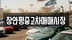 장안평중고차매매시장