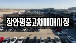 장안평중고차매매시장