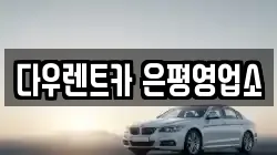 다우렌트카 은평영업소