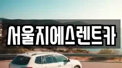 서울지에스렌트카