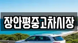 장안평중고차시장
