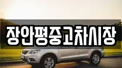장안평중고차시장
