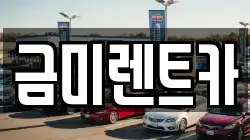 금미렌트카