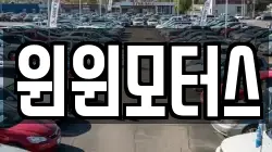 윈윈모터스