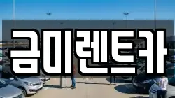금미렌트카