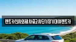 렌트카신차외제차중고차단기장기대여렌트카
