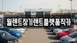 서울 종로구 봉익동 렌트카,단기렌트카,장기렌트카,중고차,중고차매매,중고차매입