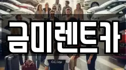 서울 종로구 서린동 렌트카,단기렌트카,장기렌트카,중고차,중고차매매,중고차매입