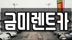 서울 종로구 세종로 렌트카,단기렌트카,장기렌트카,중고차,중고차매매,중고차매입