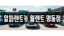 알파렌트카 월렌트 명동점