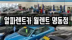 알파렌트카 월렌트 명동점