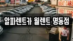 알파렌트카 월렌트 명동점