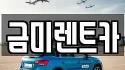 금미렌트카