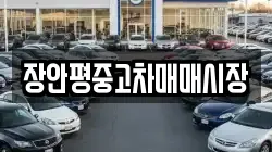 장안평중고차매매시장