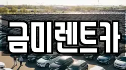 금미렌트카