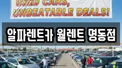 알파렌트카 월렌트 명동점