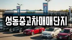 성동중고차매매단지