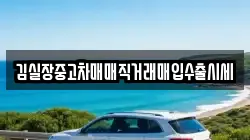 김실장중고차매매직거래매입수출시세