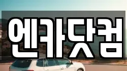 엔카닷컴