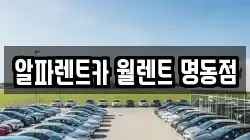 알파렌트카 월렌트 명동점