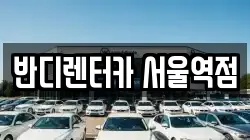 서울 중구 의주로2가 렌트카,단기렌트카,장기렌트카,중고차,중고차매매,중고차매입