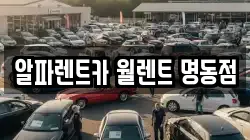 알파렌트카 월렌트 명동점