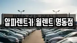알파렌트카 월렌트 명동점