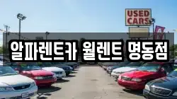 알파렌트카 월렌트 명동점